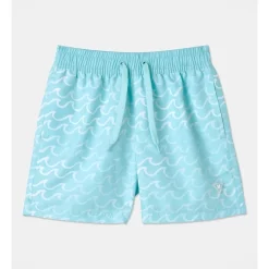 Buy 👍 Milkshake Recycled Woven Boardshort In Mint ✨
